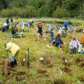 The Vital Role of Volunteers in Community Projects in Clark County, WA