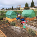 Community Projects in Clark County, WA: Promoting Sustainable Agriculture