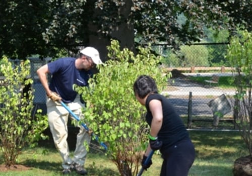 The Impact of Community Projects on the Environment in Clark County, WA